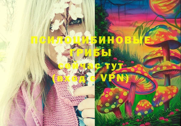 гидропоника Белокуриха