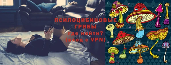 гидропоника Белокуриха