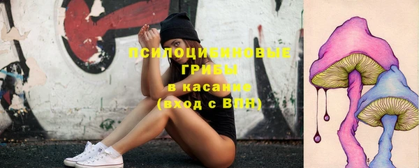 ECSTASY Беломорск