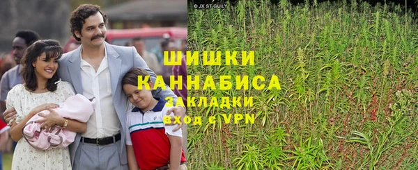 гидропоника Белокуриха